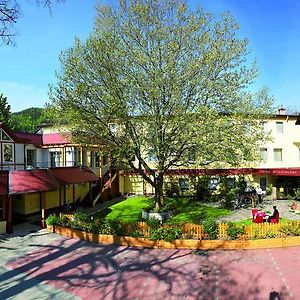 Hotel Payerbacherhof